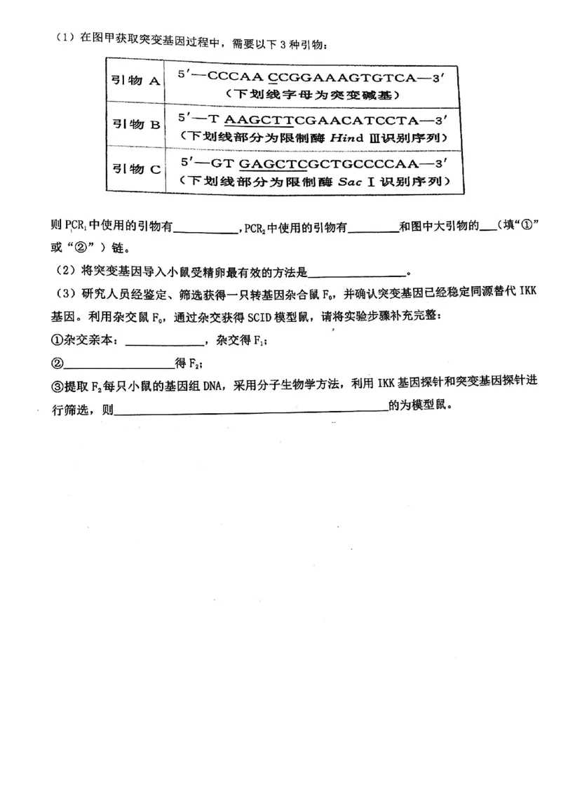 2024届武汉市硚口区高三上学期起点质量检测生物(1)_2023年7月_027月合集_2024届湖北武汉市硚口区高三上学期起点质量检测