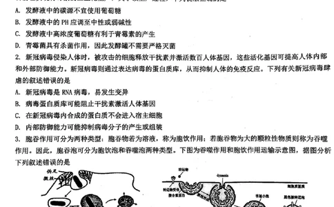 2024届武汉市硚口区高三上学期起点质量检测生物(1)_2023年7月_027月合集_2024届湖北武汉市硚口区高三上学期起点质量检测