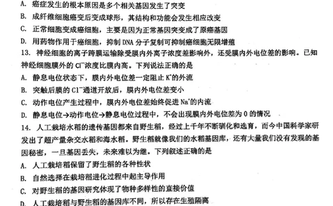 2024届武汉市硚口区高三上学期起点质量检测生物(1)_2023年7月_027月合集_2024届湖北武汉市硚口区高三上学期起点质量检测