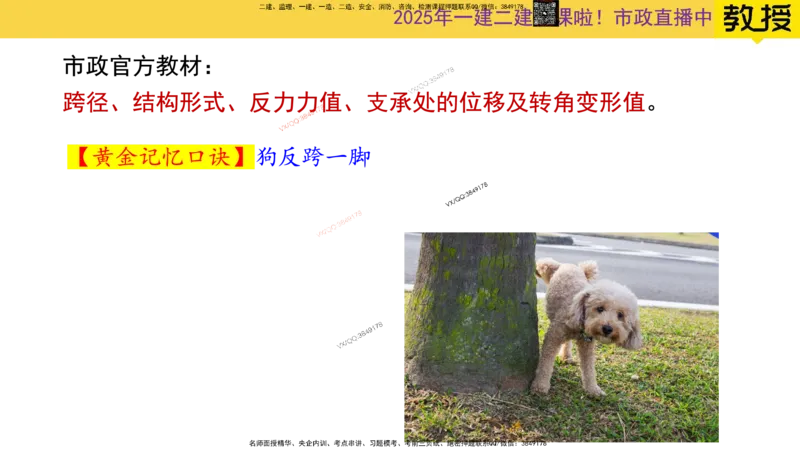 Removed_2025一建市政精讲21-支座安装_2026年一级建造师_2026年一建市政_2025年一建市政SVIP_02-基础精讲✿高端面授✿深度强化_30-市政《超级精讲班》文昊XJ_讲义