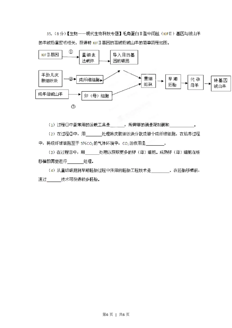2012年高考生物试卷（山东）（空白卷）_生物历年高考真题_新&middot;PDF版2008-2025&middot;高考生物真题_生物（按年份分类）2008-2025_2012&middot;高考生物真题