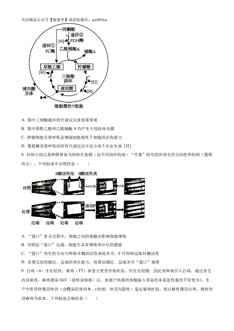 精品解析：2024年重庆新课标高考生物试卷（原卷版）_高考真题全网收集_生物学_精品解析：2024年新高考重庆卷生物高考真题解析（参考版）