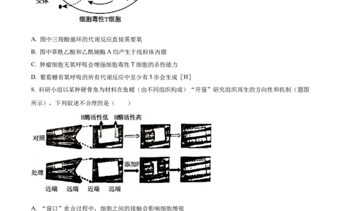 精品解析：2024年重庆新课标高考生物试卷（原卷版）_高考真题全网收集_生物学_精品解析：2024年新高考重庆卷生物高考真题解析（参考版）