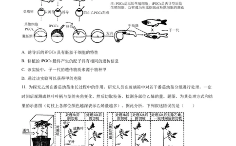 精品解析：2024年重庆新课标高考生物试卷（原卷版）_高考真题全网收集_生物学_精品解析：2024年新高考重庆卷生物高考真题解析（参考版）