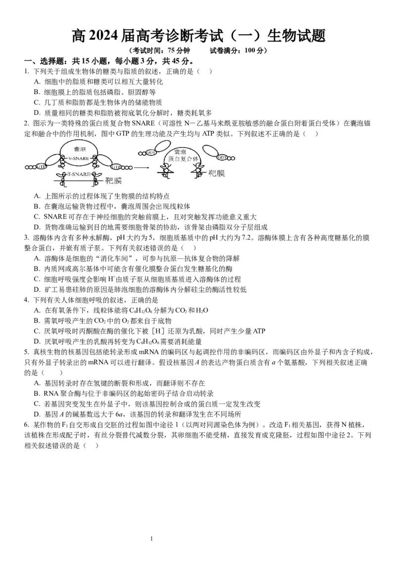 2024届重庆市巴南区高三上学期诊断考试（一模）生物(1)_2023年7月_027月合集_2024届重庆市巴南区高三上学期诊断考试（一模）