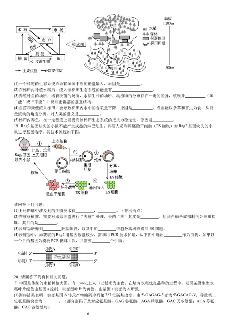 2024届重庆市巴南区高三上学期诊断考试（一模）生物(1)_2023年7月_027月合集_2024届重庆市巴南区高三上学期诊断考试（一模）