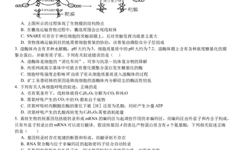 2024届重庆市巴南区高三上学期诊断考试（一模）生物(1)_2023年7月_027月合集_2024届重庆市巴南区高三上学期诊断考试（一模）