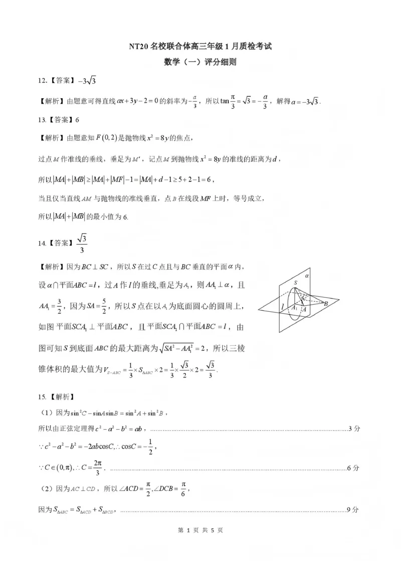 NT20名校联合体高三年级1月质检考试数学评分细则(1)_2026年1月_260108河北省NT20名校联合体高三年级1月质检考试（全科）