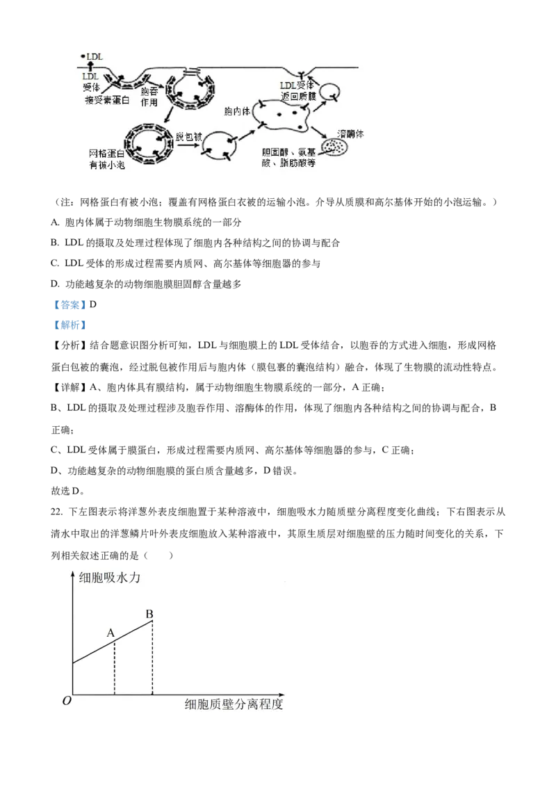 四川省成都外国语学校2023-2024学年高二上学期9月月考生物试题Word版含解析_2023年9月_029月合集_高二四川省成都外国语学校2023-2024学年高二上学期9月月考