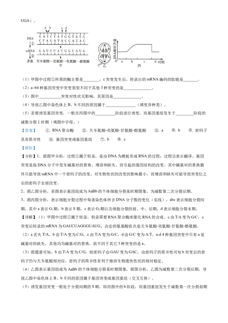 四川省成都外国语学校2023-2024学年高二上学期9月月考生物试题Word版含解析_2023年9月_029月合集_高二四川省成都外国语学校2023-2024学年高二上学期9月月考