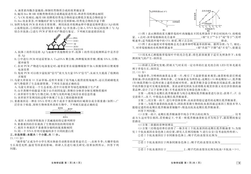 内蒙古衡水金卷2026届高三上学期12月阶段性自测生物(1)_2026年1月_260104内蒙古衡水金卷2026届高三上学期12月阶段性自测（全科）