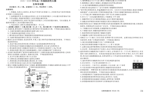 内蒙古衡水金卷2026届高三上学期12月阶段性自测生物(1)_2026年1月_260104内蒙古衡水金卷2026届高三上学期12月阶段性自测（全科）
