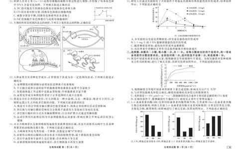 内蒙古衡水金卷2026届高三上学期12月阶段性自测生物(1)_2026年1月_260104内蒙古衡水金卷2026届高三上学期12月阶段性自测（全科）