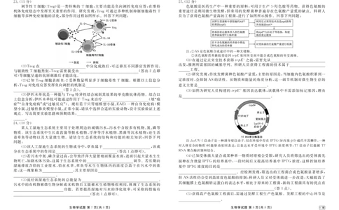 内蒙古衡水金卷2026届高三上学期12月阶段性自测生物(1)_2026年1月_260104内蒙古衡水金卷2026届高三上学期12月阶段性自测（全科）
