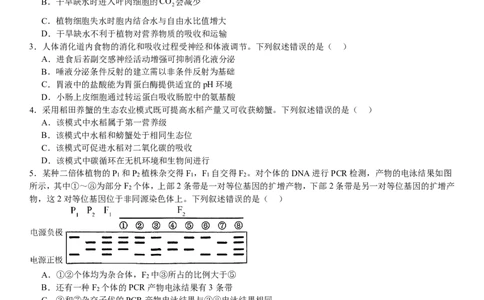 新课标生物-试题-p_近10年高考真题汇编（必刷）_2024年高考真题_高考真题（截止6.29）_新课标卷副科（云南,河南,新疆,山西）（6科全）