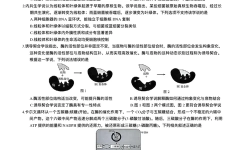 重庆市2026年普通高等学校招生全国统一考试9月调研测试生物试题（含答案）_2025年9月_250905重庆市康德教育2026年普通高等学校招生全国统一考试9月调研测试（全科）