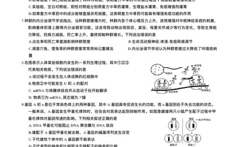 重庆市2026年普通高等学校招生全国统一考试9月调研测试生物试题（含答案）_2025年9月_250905重庆市康德教育2026年普通高等学校招生全国统一考试9月调研测试（全科）