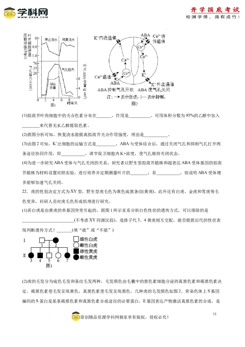 生物（山东卷）（考试版）_2024届新高三开学摸底考试卷_生物-2024届新高三开学摸底考试卷_生物-2024届新高三开学摸底考试卷（山东卷）