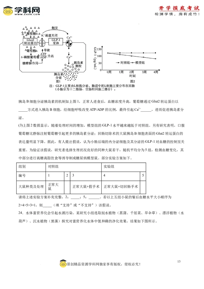 生物（山东卷）（考试版）_2024届新高三开学摸底考试卷_生物-2024届新高三开学摸底考试卷_生物-2024届新高三开学摸底考试卷（山东卷）