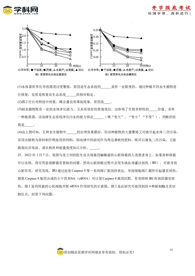 生物（山东卷）（考试版）_2024届新高三开学摸底考试卷_生物-2024届新高三开学摸底考试卷_生物-2024届新高三开学摸底考试卷（山东卷）