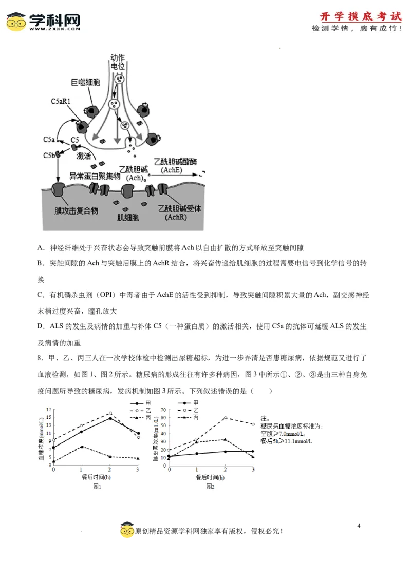 生物（山东卷）（考试版）_2024届新高三开学摸底考试卷_生物-2024届新高三开学摸底考试卷_生物-2024届新高三开学摸底考试卷（山东卷）
