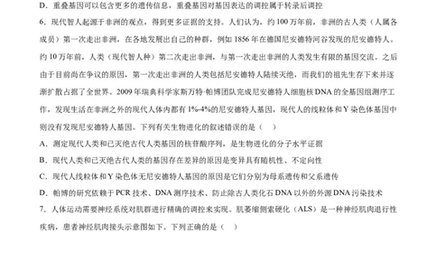 生物（山东卷）（考试版）_2024届新高三开学摸底考试卷_生物-2024届新高三开学摸底考试卷_生物-2024届新高三开学摸底考试卷（山东卷）