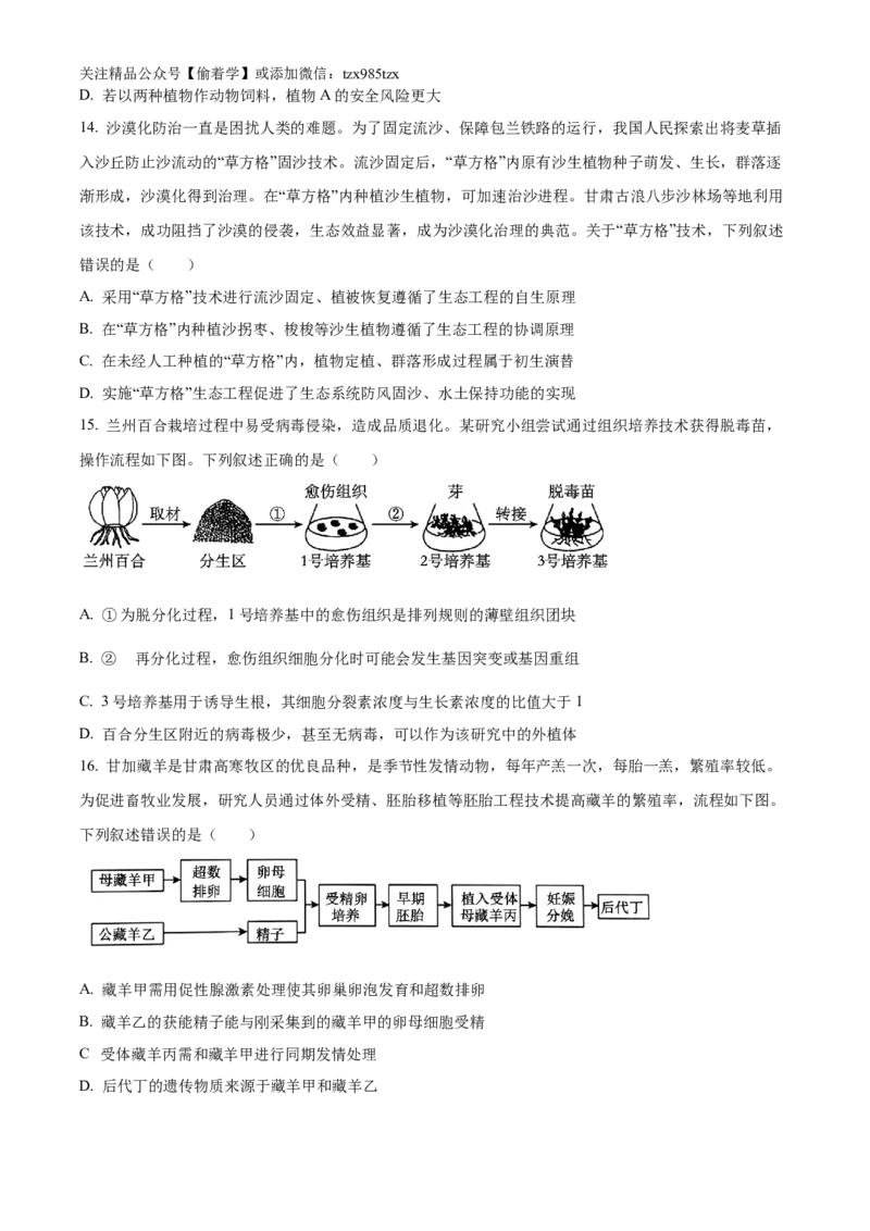 精品解析：2024年新课标甘肃高考生物试卷（原卷版）_高考真题全网收集_生物学_精品解析：2024年新高考甘肃卷生物高考真题解析（参考版）