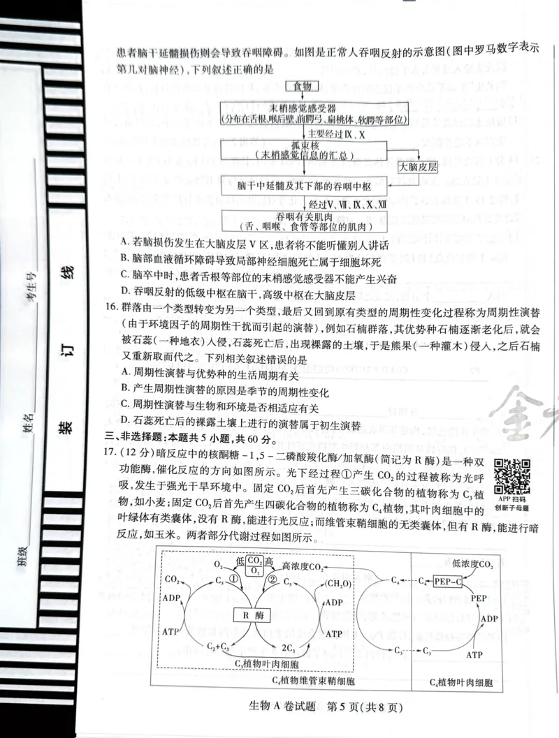 天星生物A卷_2024高考押题卷_12024天星全系列_@@@天星临考押题密卷汇总重复_2024年tx高考临考押题密卷湖南专版_生物