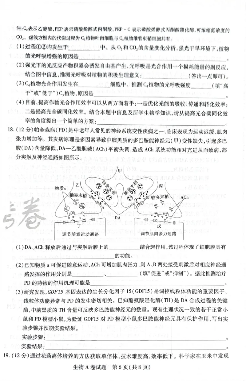 天星生物A卷_2024高考押题卷_12024天星全系列_@@@天星临考押题密卷汇总重复_2024年tx高考临考押题密卷湖南专版_生物