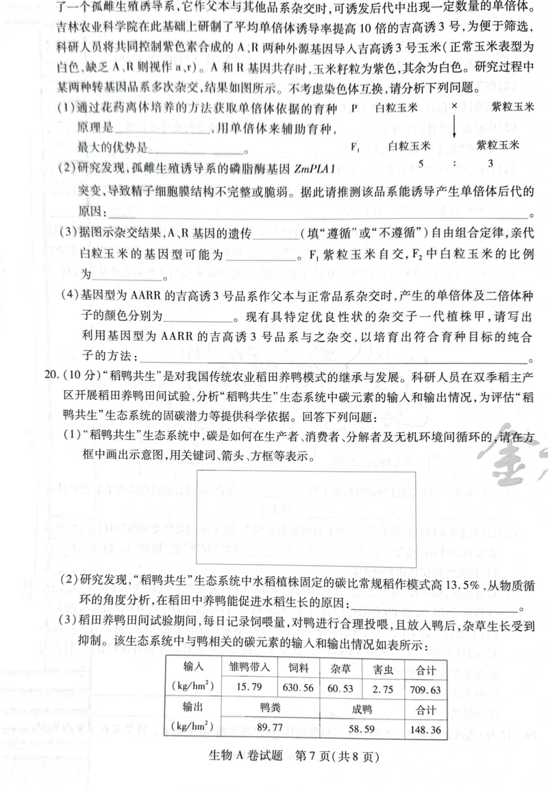 天星生物A卷_2024高考押题卷_12024天星全系列_@@@天星临考押题密卷汇总重复_2024年tx高考临考押题密卷湖南专版_生物