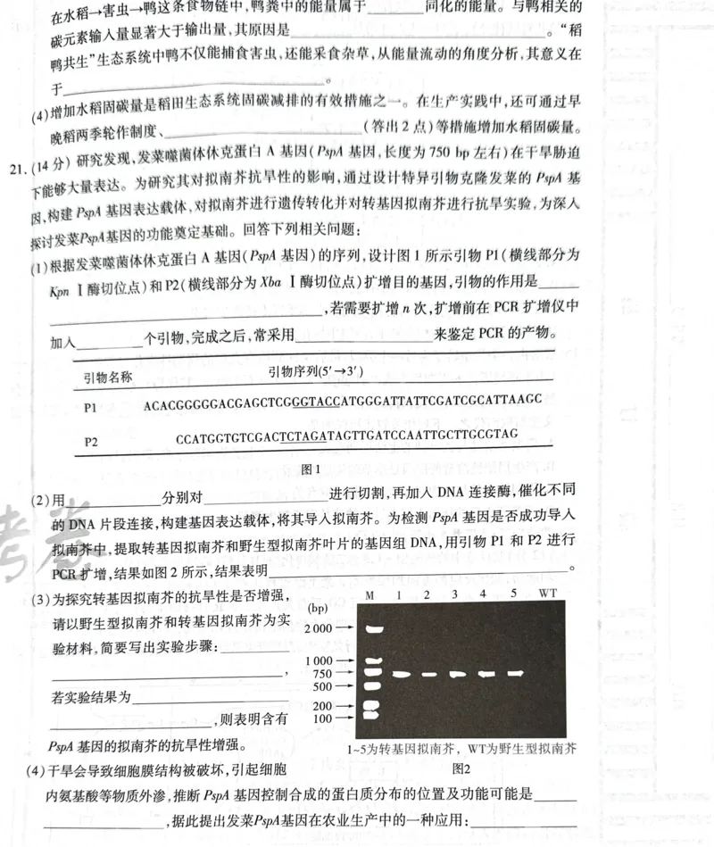 天星生物A卷_2024高考押题卷_12024天星全系列_@@@天星临考押题密卷汇总重复_2024年tx高考临考押题密卷湖南专版_生物