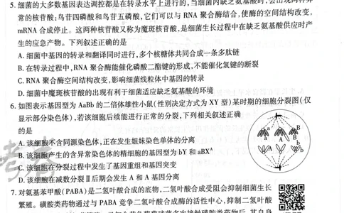 天星生物A卷_2024高考押题卷_12024天星全系列_@@@天星临考押题密卷汇总重复_2024年tx高考临考押题密卷湖南专版_生物