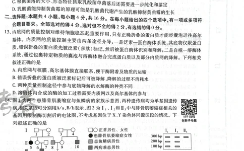 天星生物A卷_2024高考押题卷_12024天星全系列_@@@天星临考押题密卷汇总重复_2024年tx高考临考押题密卷湖南专版_生物