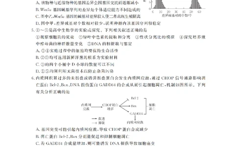 云南省2026届高三上学期1月百万大联考生物(1)_2026年1月_260129金太阳&middot;云南省2026届高三上学期1月百万大联考（全科）