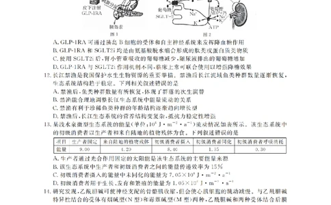 云南省2026届高三上学期1月百万大联考生物(1)_2026年1月_260129金太阳&middot;云南省2026届高三上学期1月百万大联考（全科）