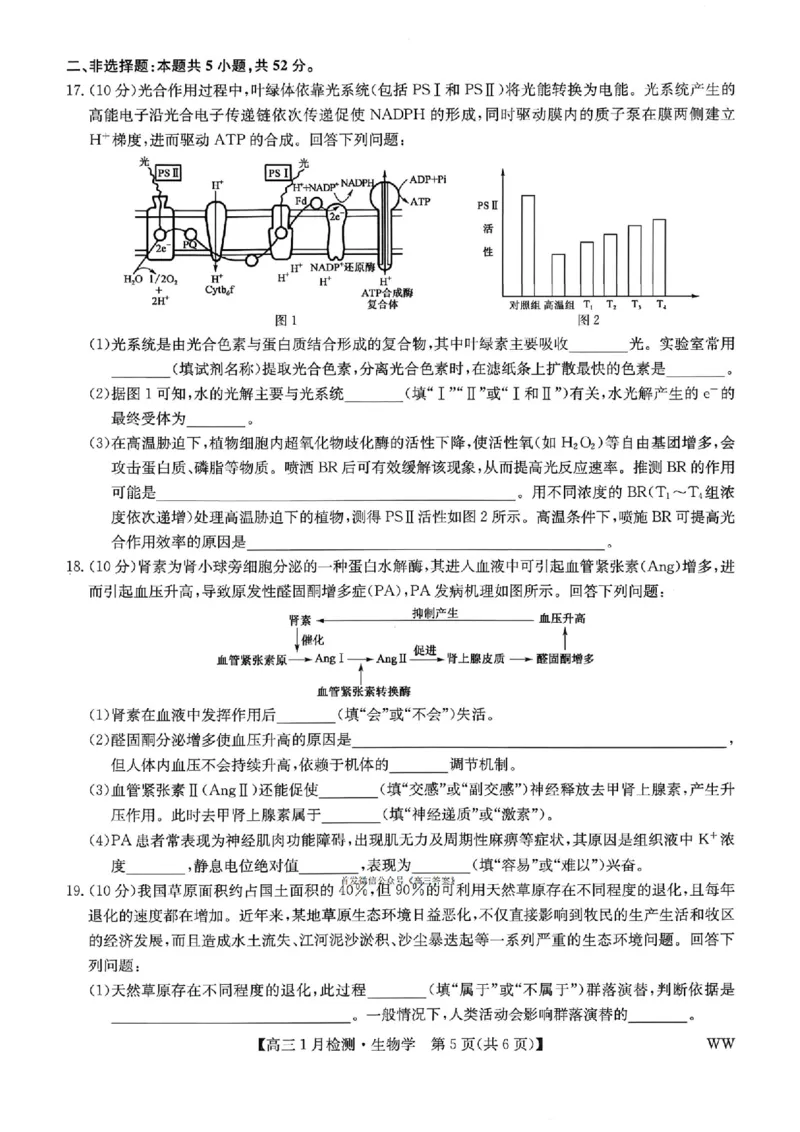 九师联盟2026届高三1月质量检测生物（含答案）(1)_2026年1月_260120九师联盟2026届高三1月质量检测（全科）