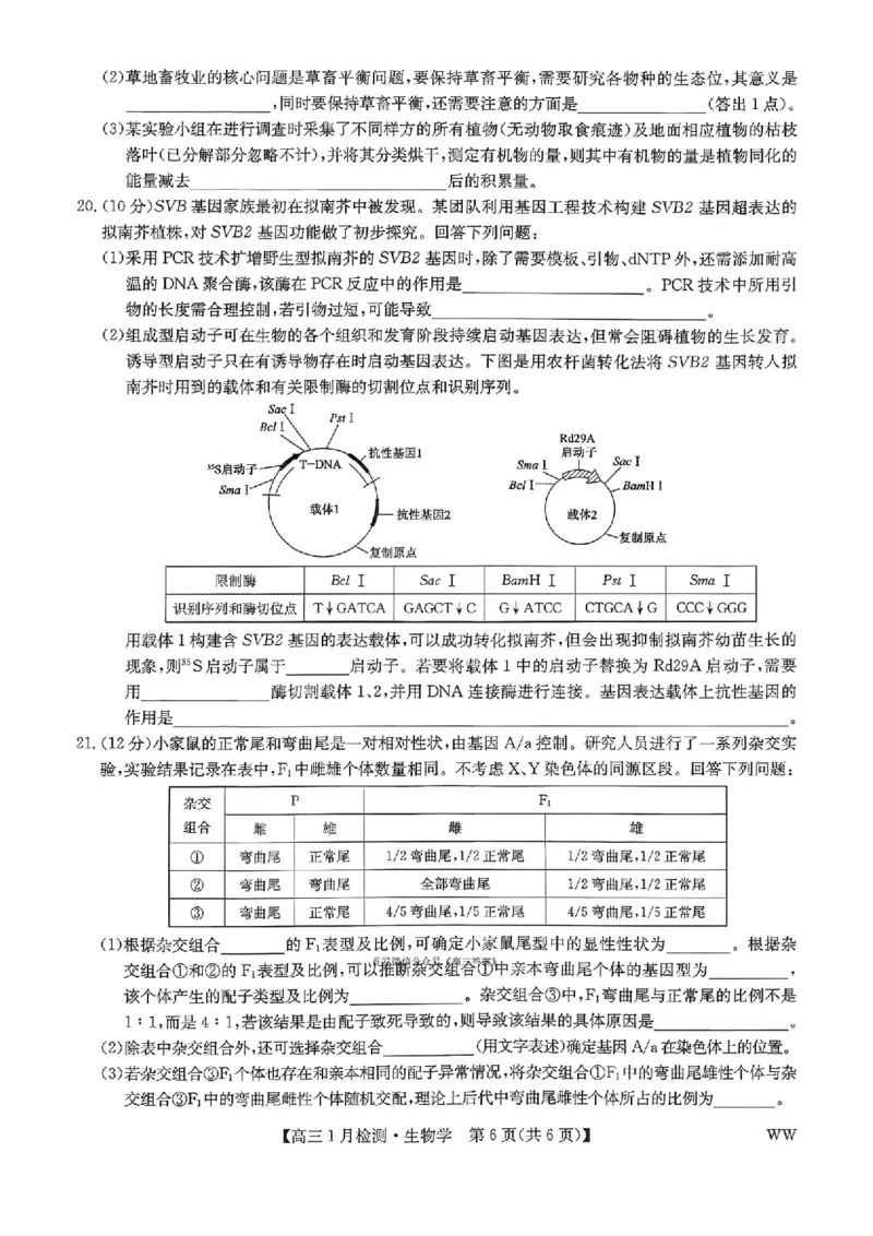 九师联盟2026届高三1月质量检测生物（含答案）(1)_2026年1月_260120九师联盟2026届高三1月质量检测（全科）
