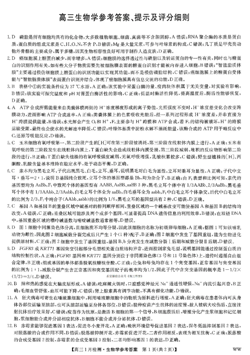 九师联盟2026届高三1月质量检测生物（含答案）(1)_2026年1月_260120九师联盟2026届高三1月质量检测（全科）