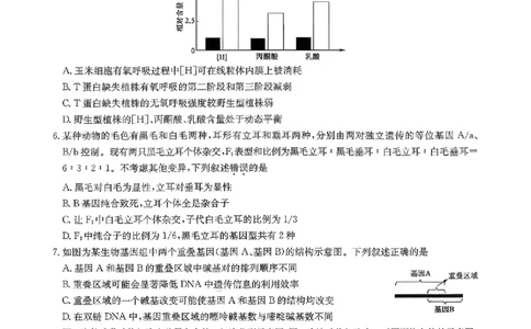 九师联盟2026届高三1月质量检测生物（含答案）(1)_2026年1月_260120九师联盟2026届高三1月质量检测（全科）