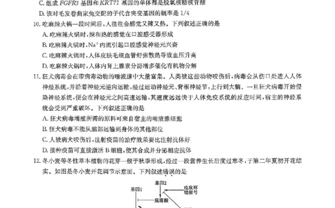 九师联盟2026届高三1月质量检测生物（含答案）(1)_2026年1月_260120九师联盟2026届高三1月质量检测（全科）