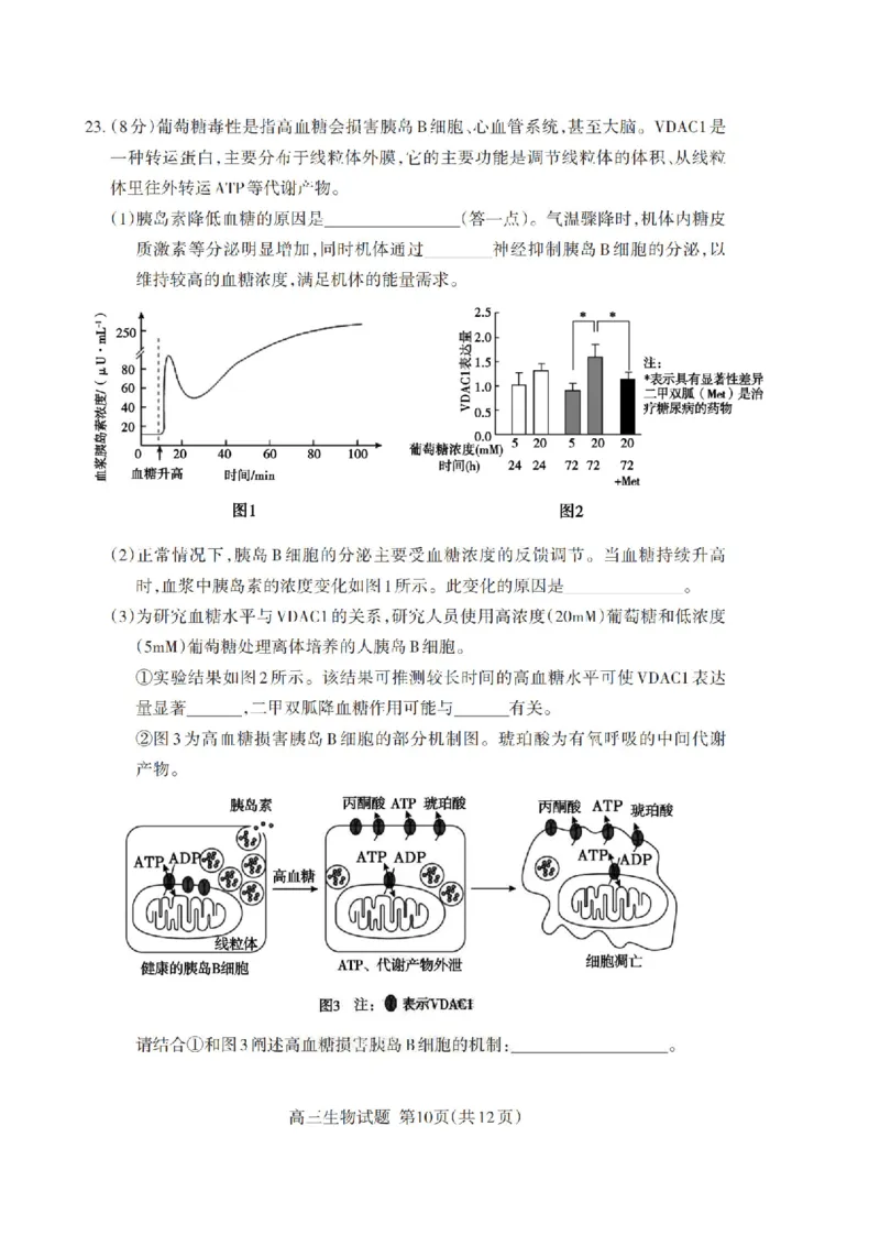 山东省泰安市2026年1月高三期末考试生物(1)_2026年1月_260107山东省泰安市2026年1月高三期末考试（全科）