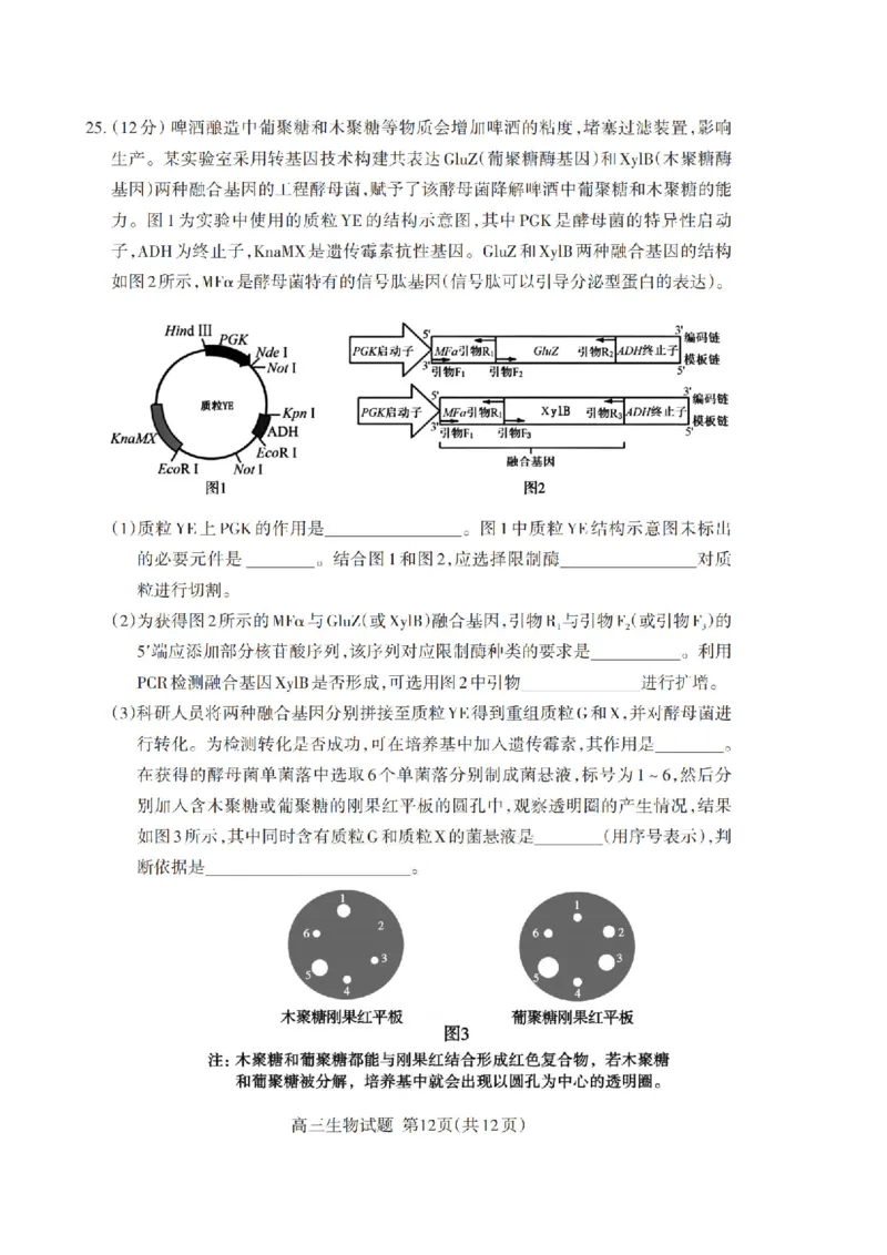 山东省泰安市2026年1月高三期末考试生物(1)_2026年1月_260107山东省泰安市2026年1月高三期末考试（全科）