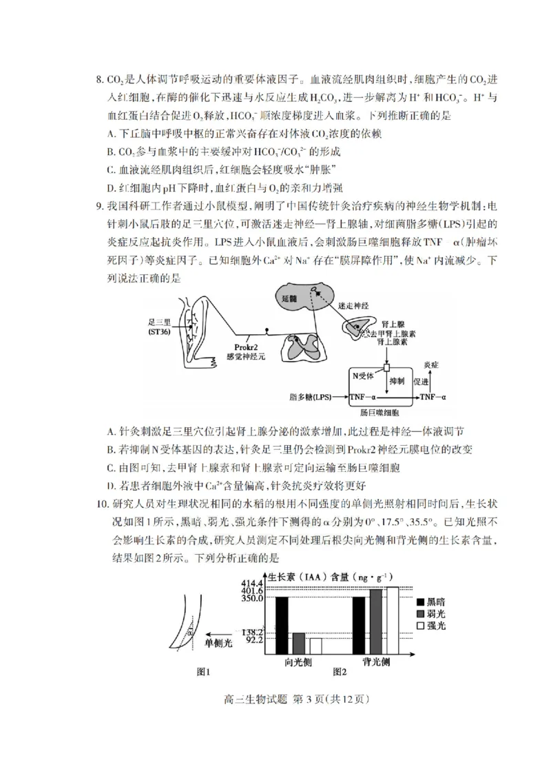 山东省泰安市2026年1月高三期末考试生物(1)_2026年1月_260107山东省泰安市2026年1月高三期末考试（全科）