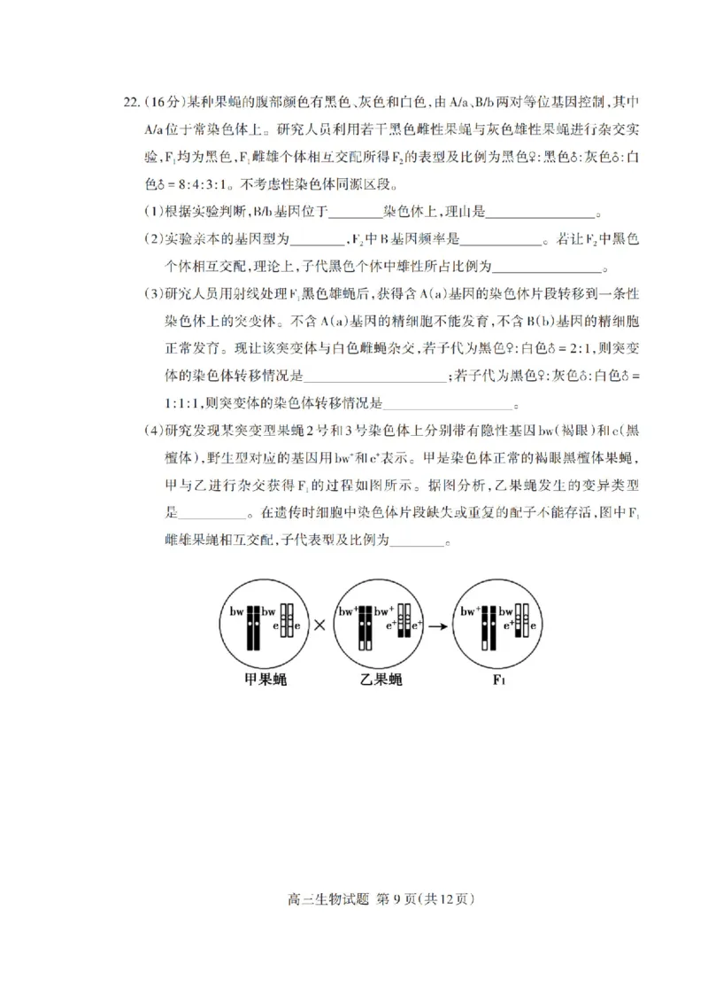 山东省泰安市2026年1月高三期末考试生物(1)_2026年1月_260107山东省泰安市2026年1月高三期末考试（全科）