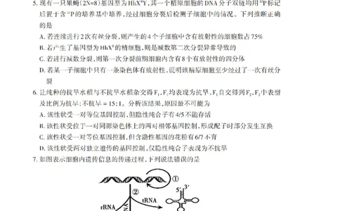 山东省泰安市2026年1月高三期末考试生物(1)_2026年1月_260107山东省泰安市2026年1月高三期末考试（全科）