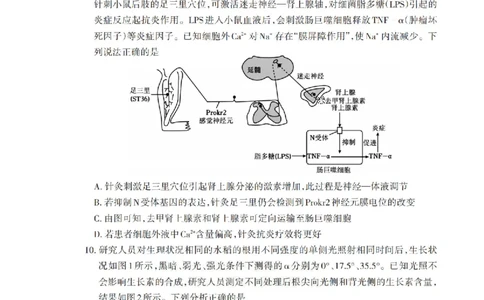 山东省泰安市2026年1月高三期末考试生物(1)_2026年1月_260107山东省泰安市2026年1月高三期末考试（全科）