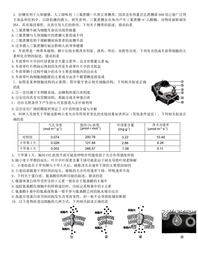 2024河南省部分名校高三核心模拟（一）生物试卷_2023年9月_01每日更新_19号_2024九师联盟（河南省名校）高三上学期核心模拟（一）