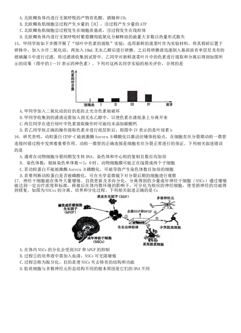 2024河南省部分名校高三核心模拟（一）生物试卷_2023年9月_01每日更新_19号_2024九师联盟（河南省名校）高三上学期核心模拟（一）