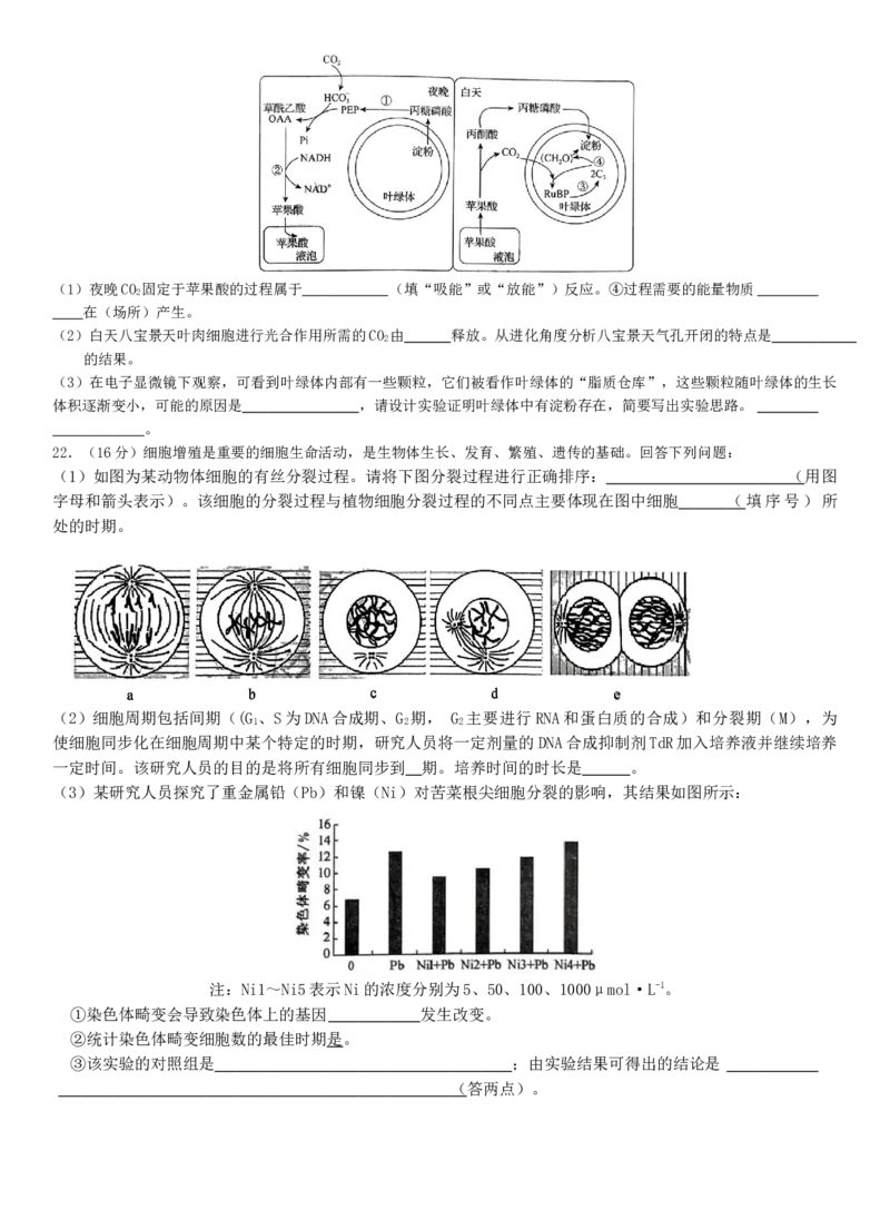 2024河南省部分名校高三核心模拟（一）生物试卷_2023年9月_01每日更新_19号_2024九师联盟（河南省名校）高三上学期核心模拟（一）