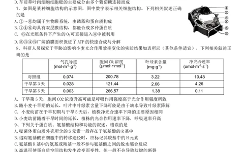 2024河南省部分名校高三核心模拟（一）生物试卷_2023年9月_01每日更新_19号_2024九师联盟（河南省名校）高三上学期核心模拟（一）
